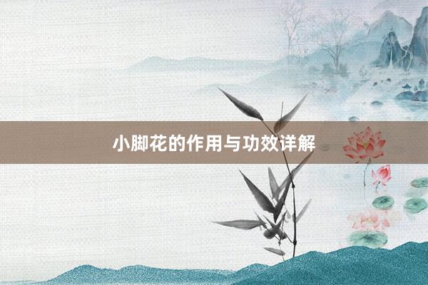 小脚花的作用与功效详解