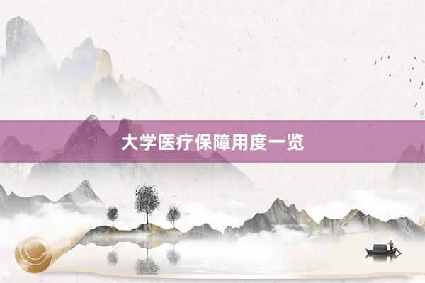 大学医疗保障用度一览