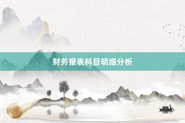 财务报表科目明细分析